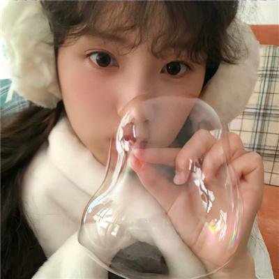 小树的天空